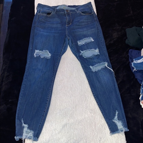 Ms. Cello Denim - Plus Size Jeans